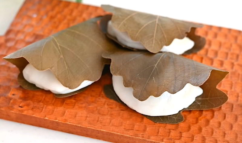 Kashiwa Mochi